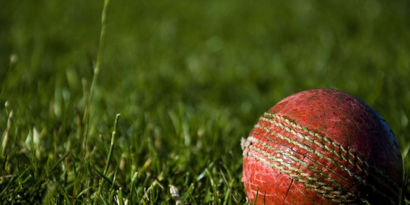 世界杯预选赛亚洲区比赛现场球迷助威场景